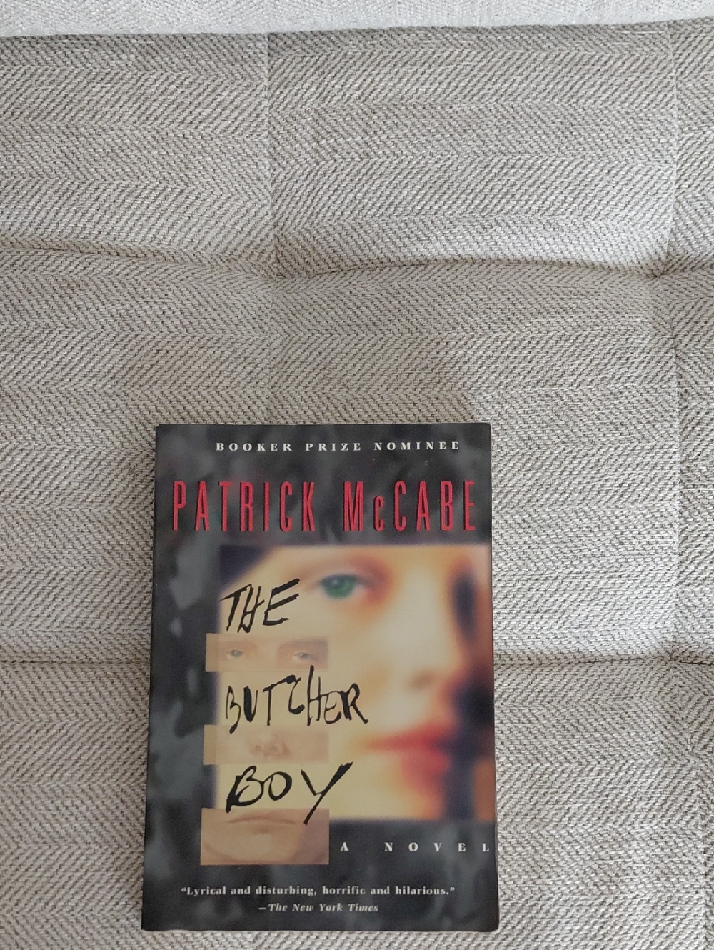 🔴 Patrick McCabe "The Butcher Boy" Paperback Novel